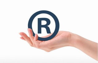 理達(dá)知識(shí)產(chǎn)權(quán) 商標(biāo)注冊(cè)有風(fēng)險(xiǎn) 選代理機(jī)構(gòu)需謹(jǐn)慎